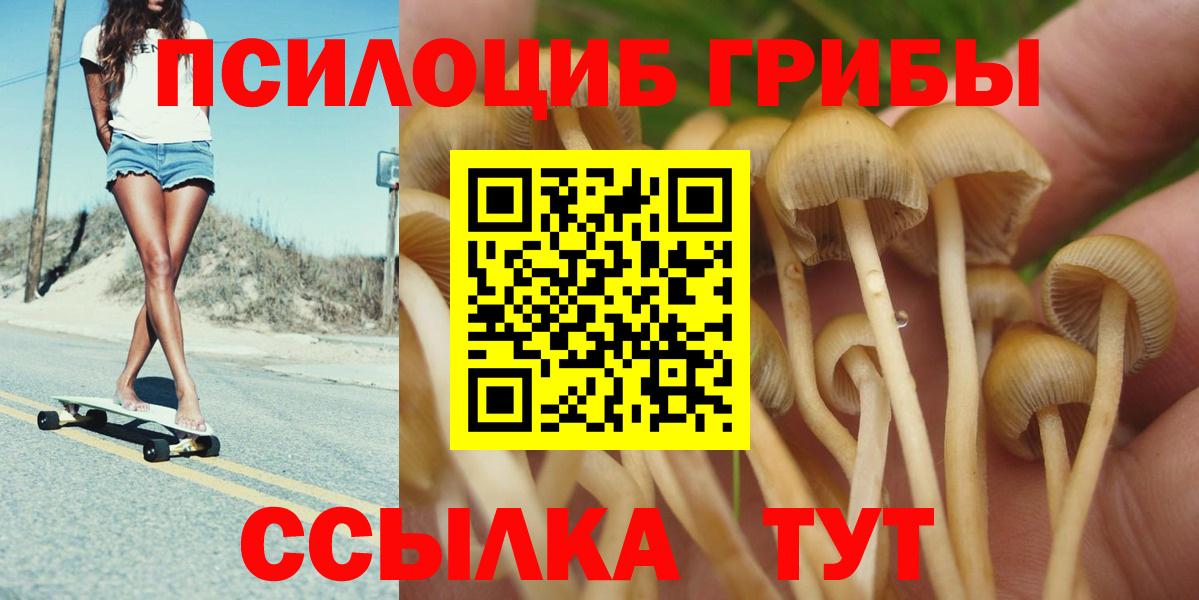 Анжеро-Судженск  Псилоцибиновые грибы MAGIC MUSHROOMS  Галлюциногенные грибы Magic Shrooms  Вход с VPN 
